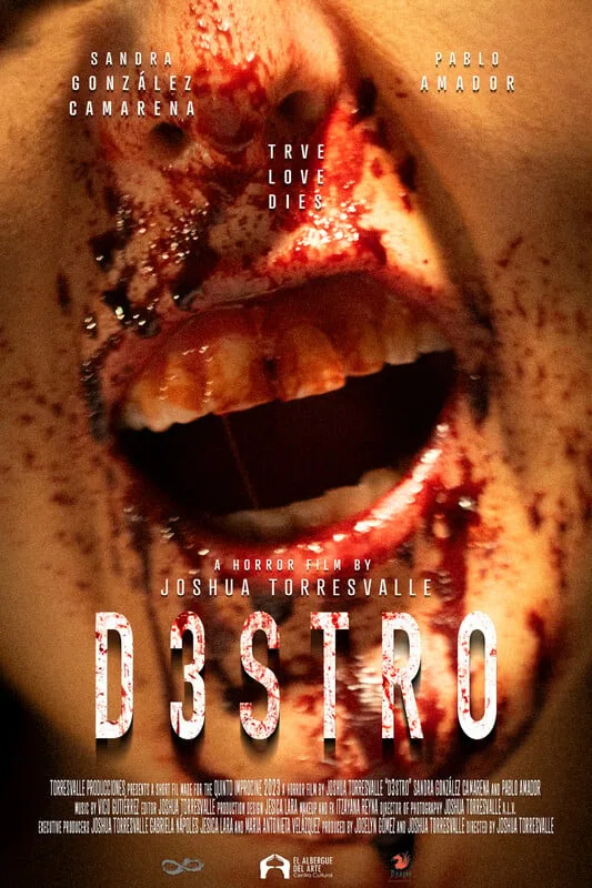 Poster for D3STRO