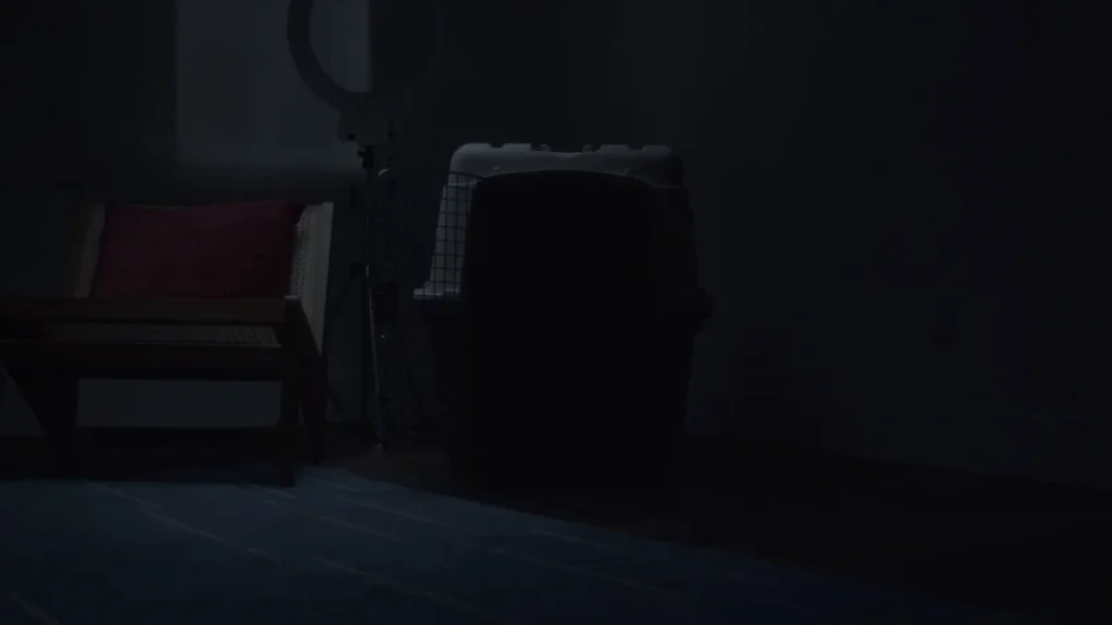 Still from OBEY!